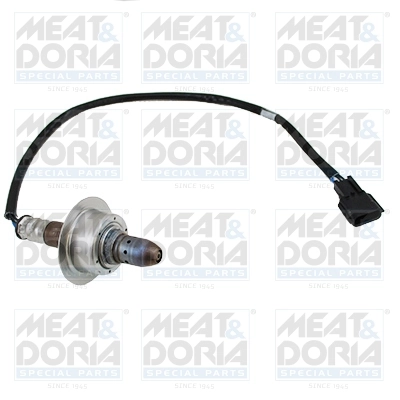 Oxygen Sensor